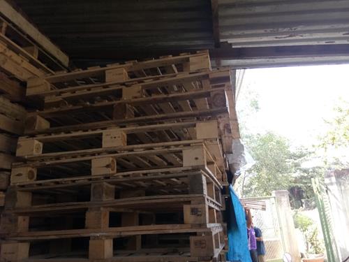 Pallet gỗ